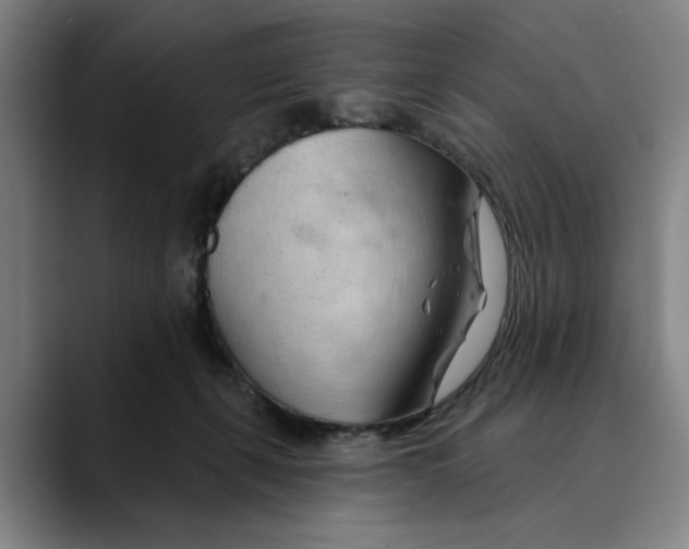 X0000089340271200707131517