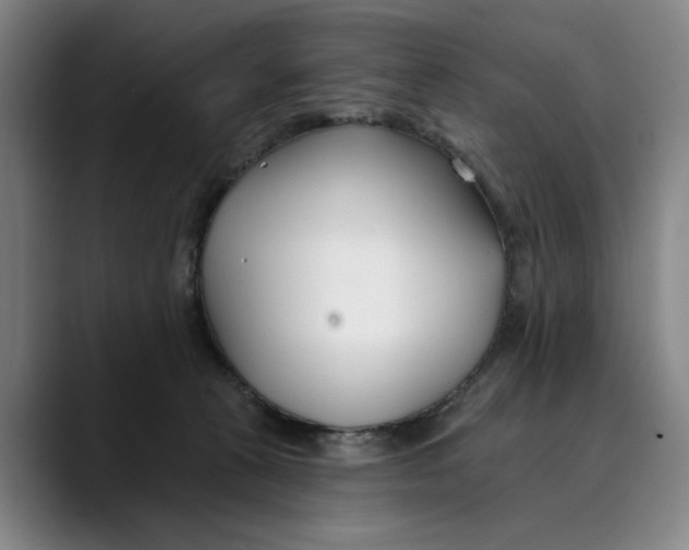 X0000089340273200707131517