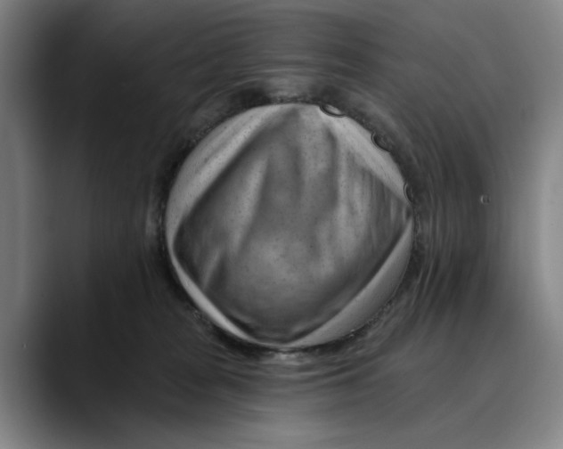 X0000089340277200707131517