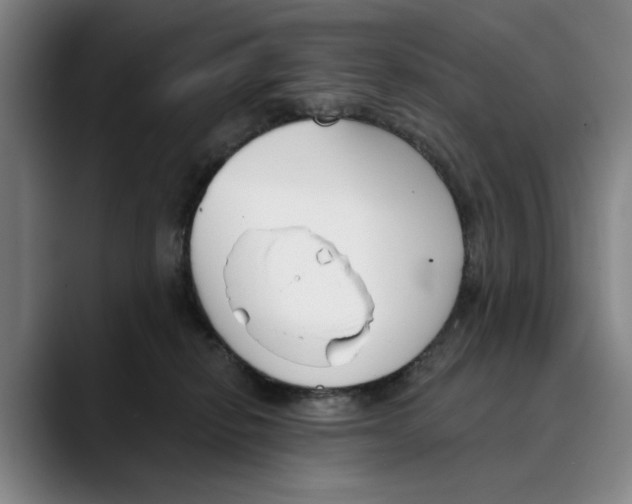 X0000089340278200707131518