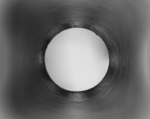 X0000089340282200707131518