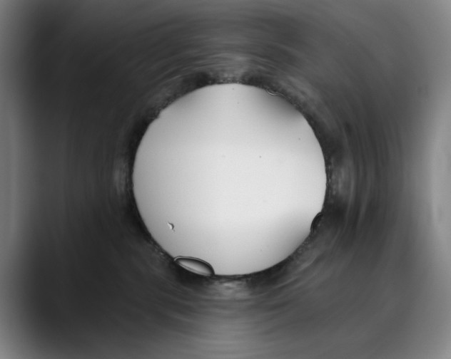 X0000089340283200707131518