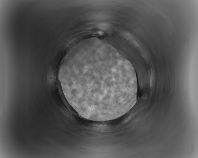 X0000089340284200707131518