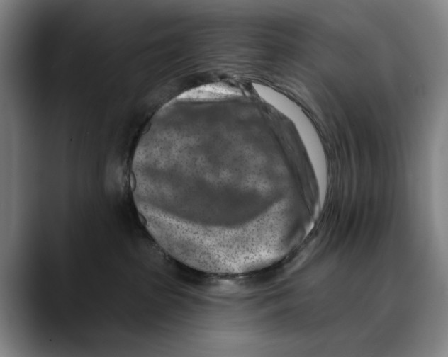 X0000089340285200707131518