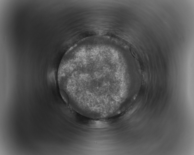 X0000089340286200707131518