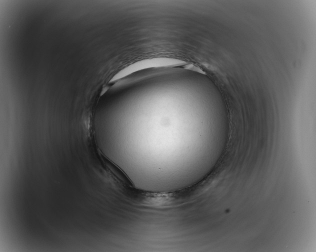 X0000089340288200707131518