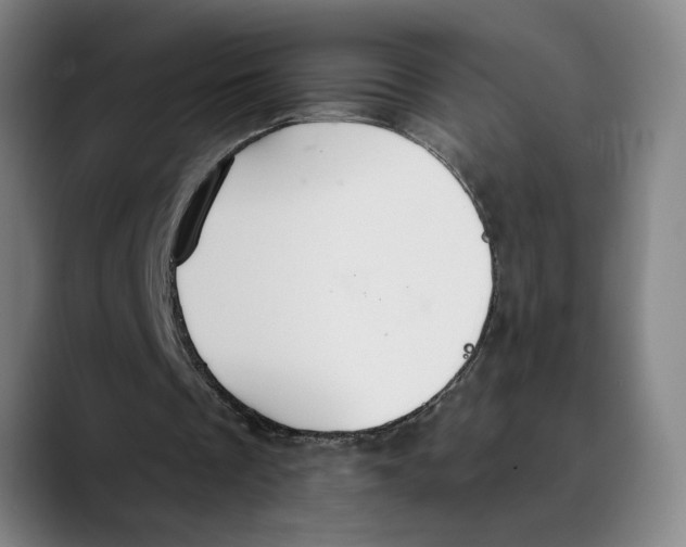 X0000089340289200707131517