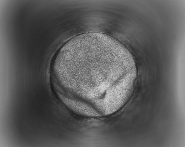 X0000089340290200707131517