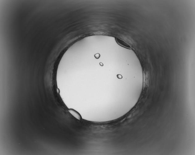 X0000089340291200707131517
