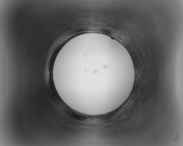 X0000089340294200707131517