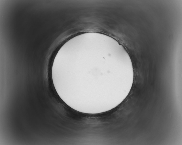X0000089340296200707131517