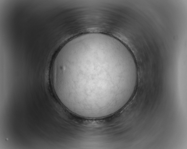 X0000089340297200707131517