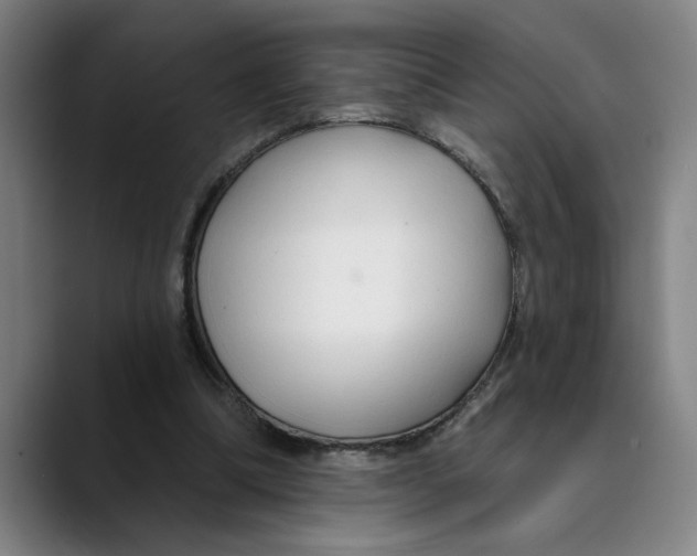 X0000089340298200707131517