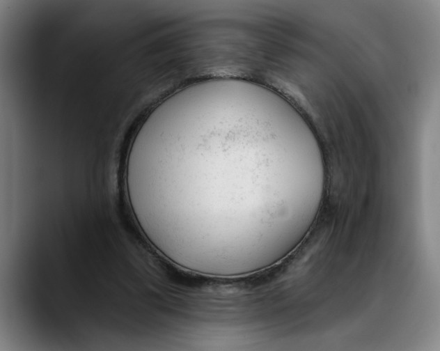X0000089340299200707131517