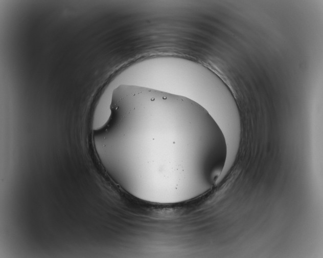 X0000089340301200707131517