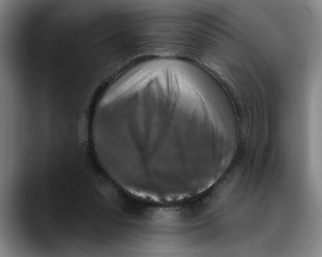 X0000089340303200707131517