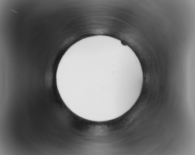 X0000089340304200707131517