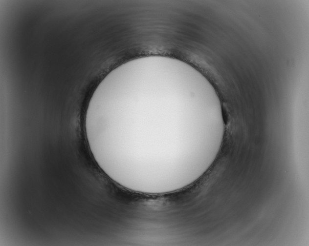 X0000089340306200707131517