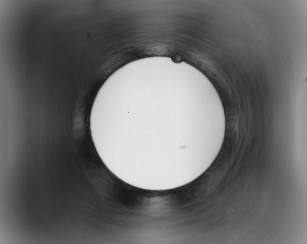 X0000089340312200707131517