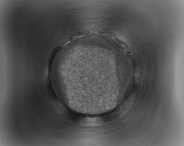 X0000089340314200707131517