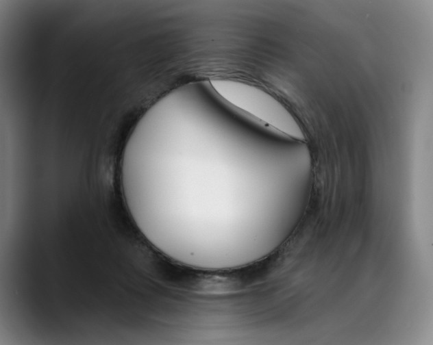 X0000089340315200707131517