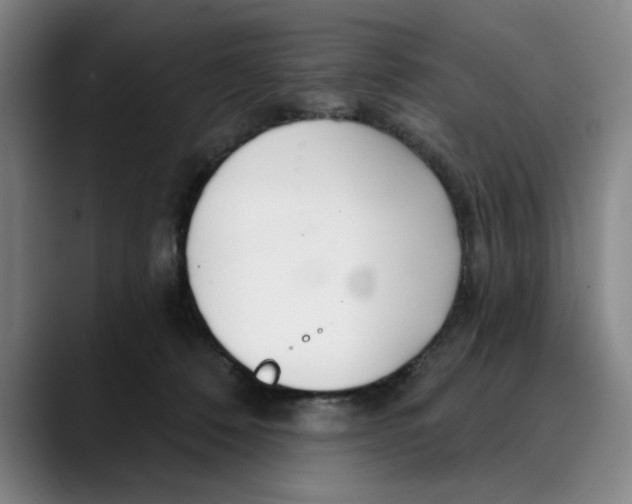 X0000089340320200707131517