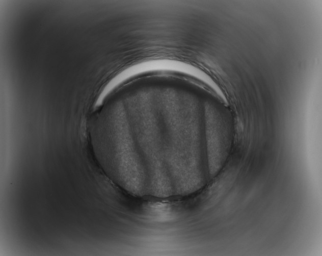 X0000089340325200707131517