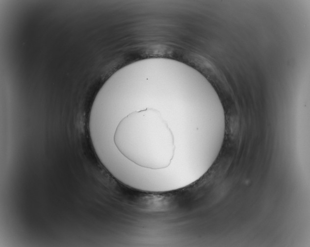 X0000089340326200707131517