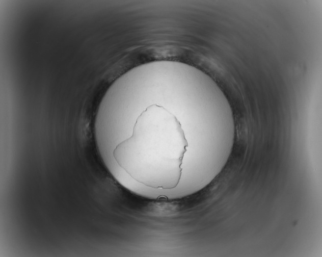 X0000089340327200707131517