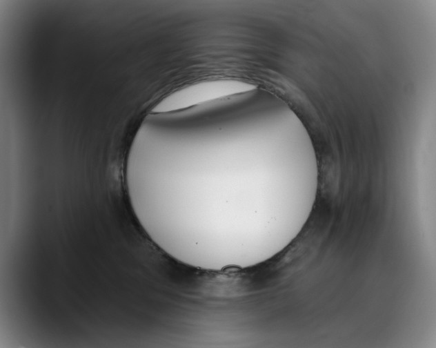 X0000089340329200707131517