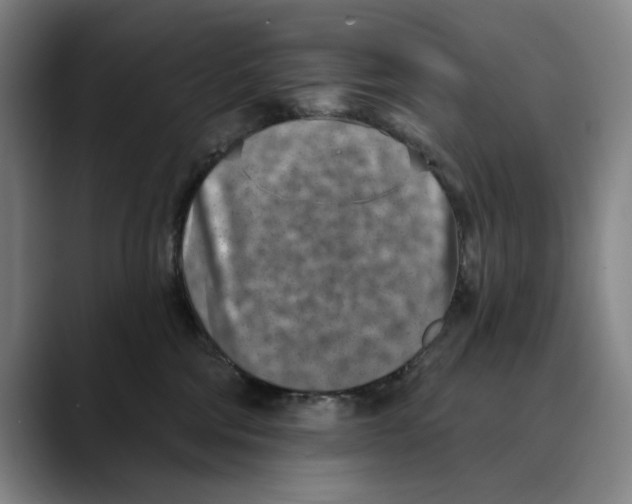 X0000089340330200707131517
