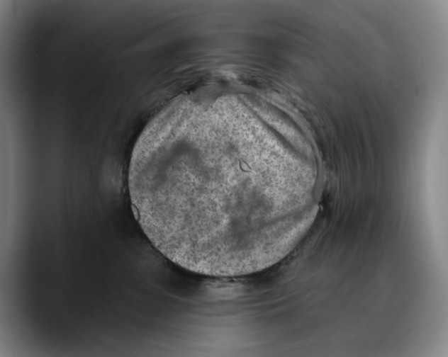 X0000089340331200707131517