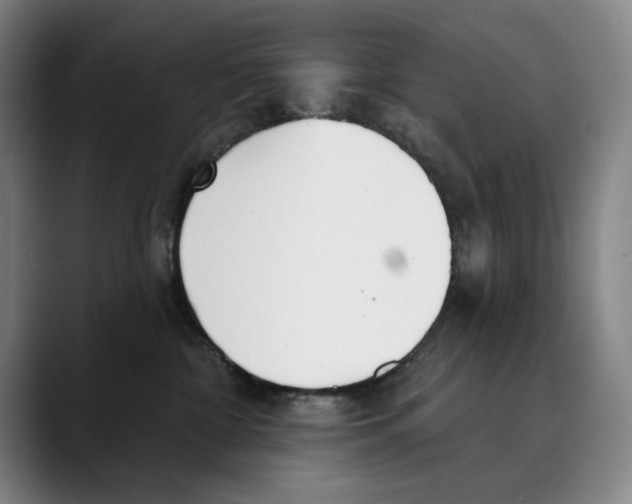 X0000089340332200707131517