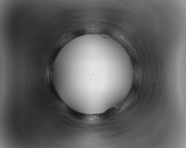 X0000089340333200707131517