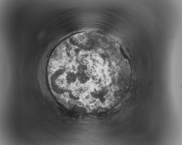 X0000089340337200707131516