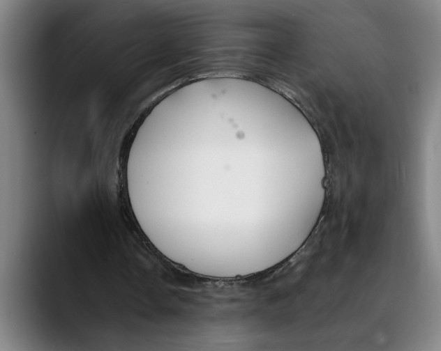 X0000089340338200707131516