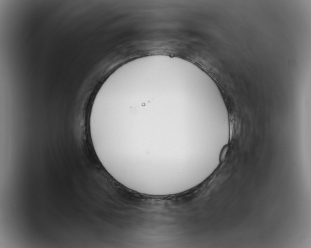X0000089340339200707131516