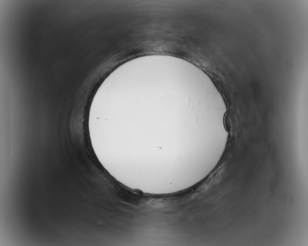 X0000089340341200707131516