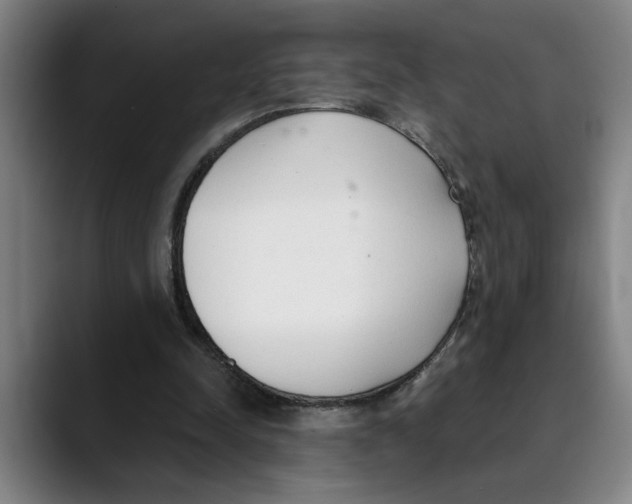 X0000089340342200707131516