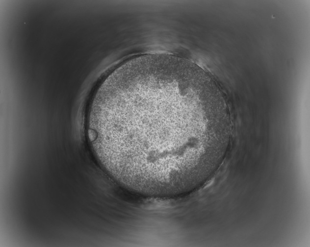 X0000089340343200707131516