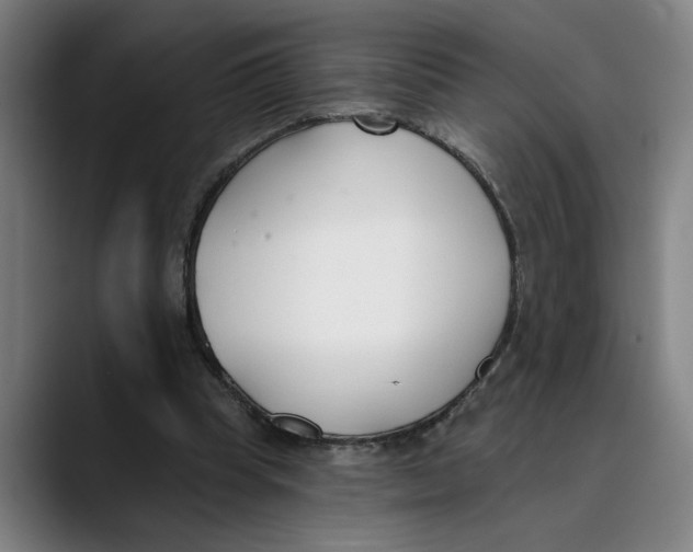 X0000089340345200707131516