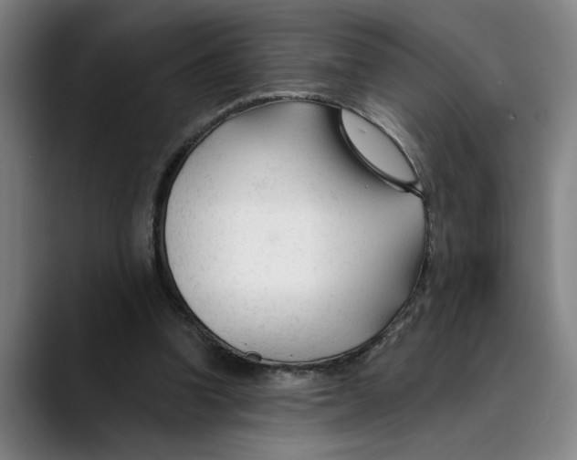 X0000089340346200707131516