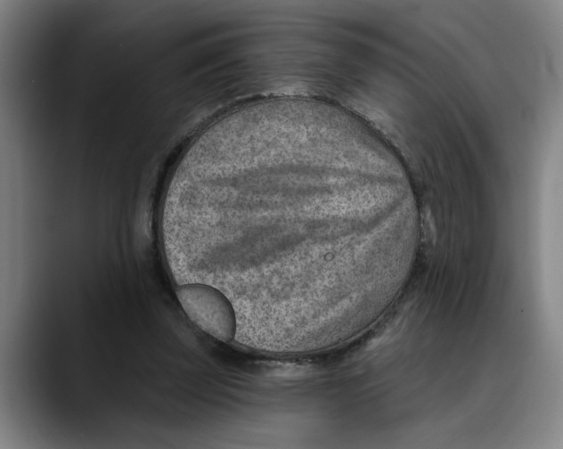 X0000089340347200707131516