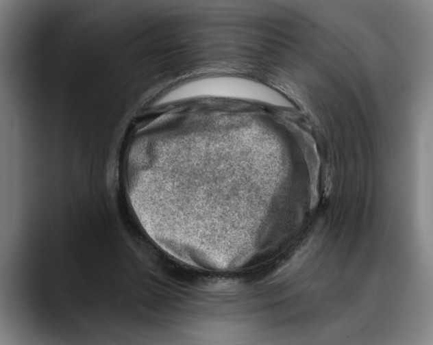 X0000089340348200707131516