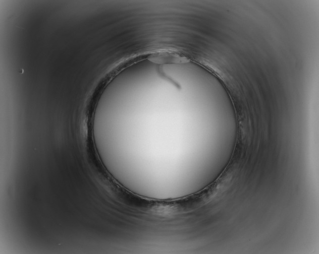 X0000089340350200707131516