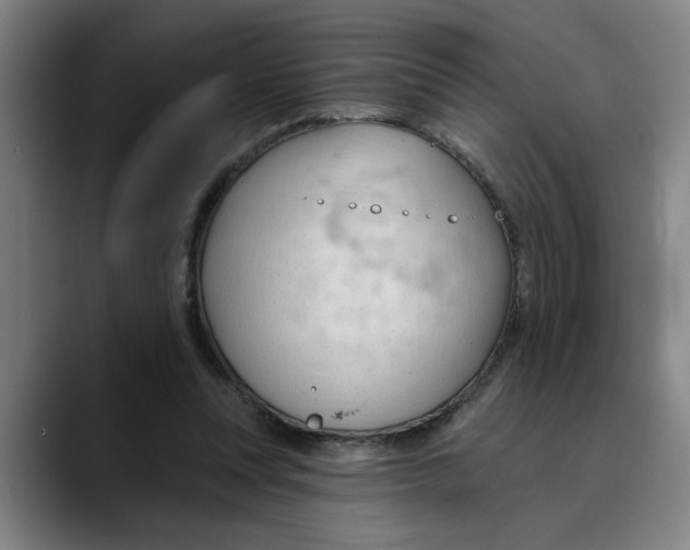 X0000089340351200707131516