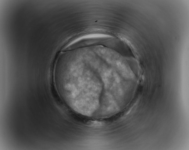 X0000089340352200707131516