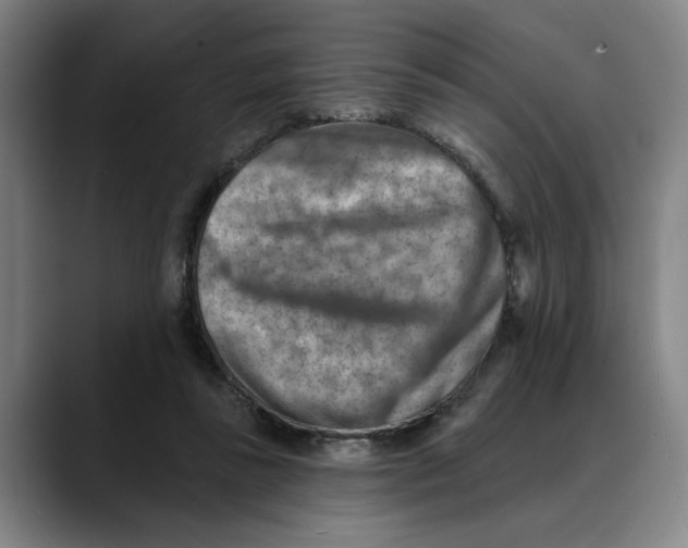 X0000089340355200707131516
