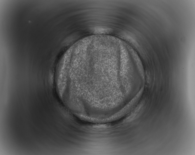 X0000089340357200707131516