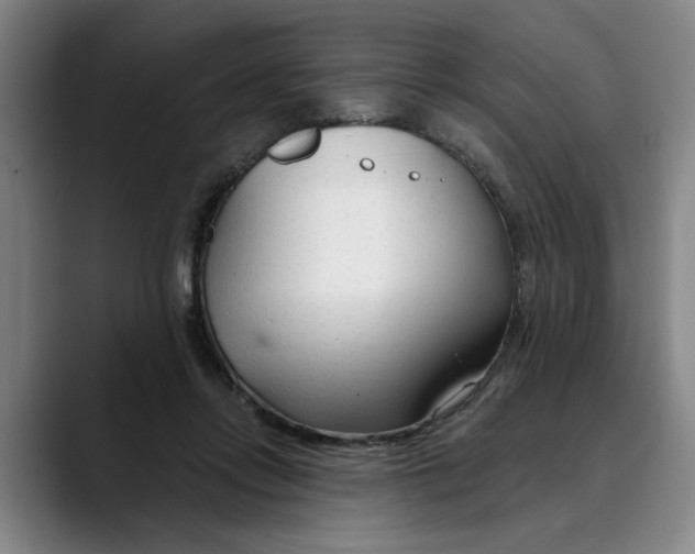 X0000089340358200707131516